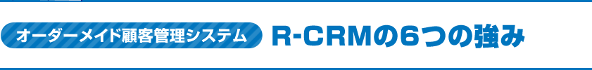 オーダーメイド顧客管理システムR-CRMの6つの強み